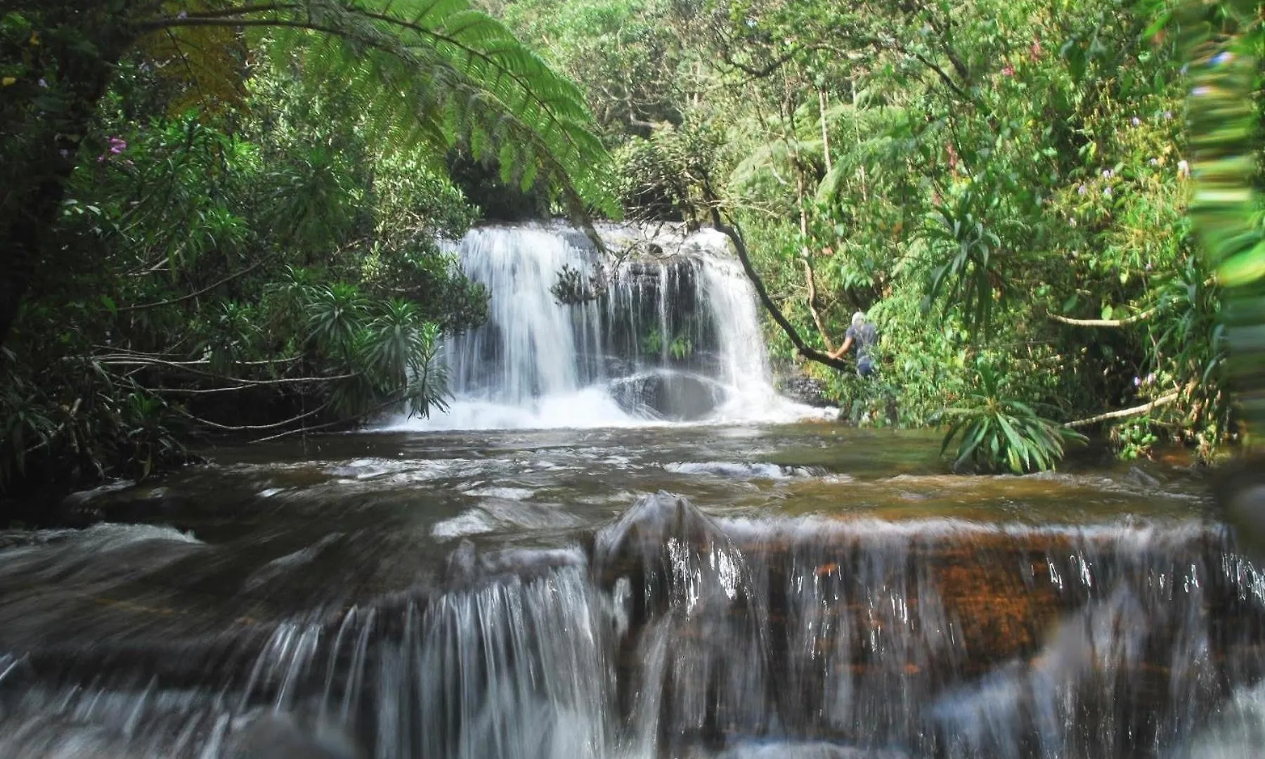 Homestay Pedro Stay,Cooking Classes & Tours Nuwara Eliya
