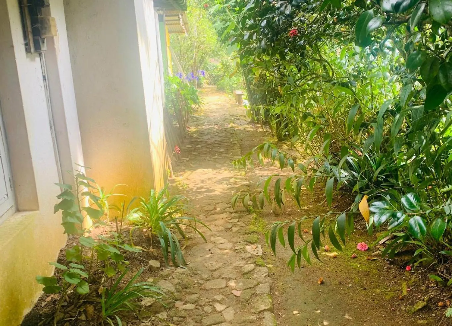 Homestay Pedro Stay,Cooking Classes & Tours Nuwara Eliya Sri Lanka